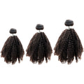 Brazilian Afro Kinky Bundle 